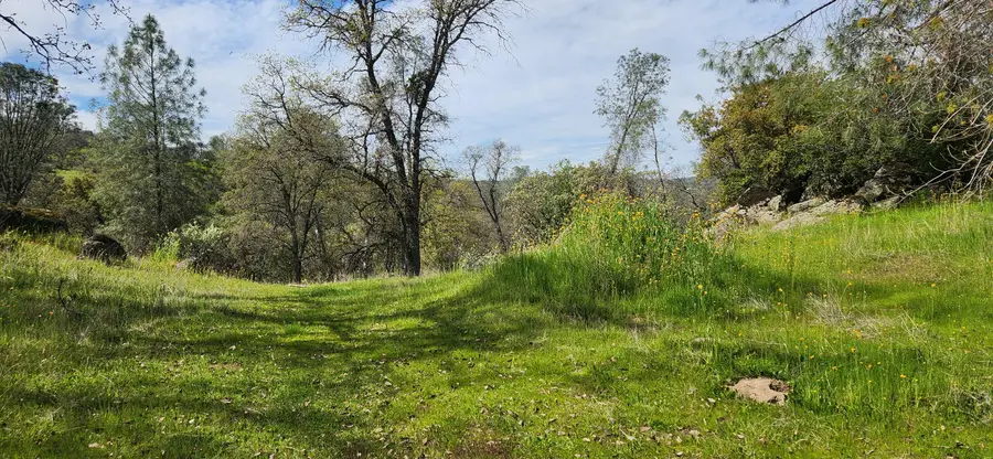 Starlight Court, Coarsegold, CA 93614 - Image #2