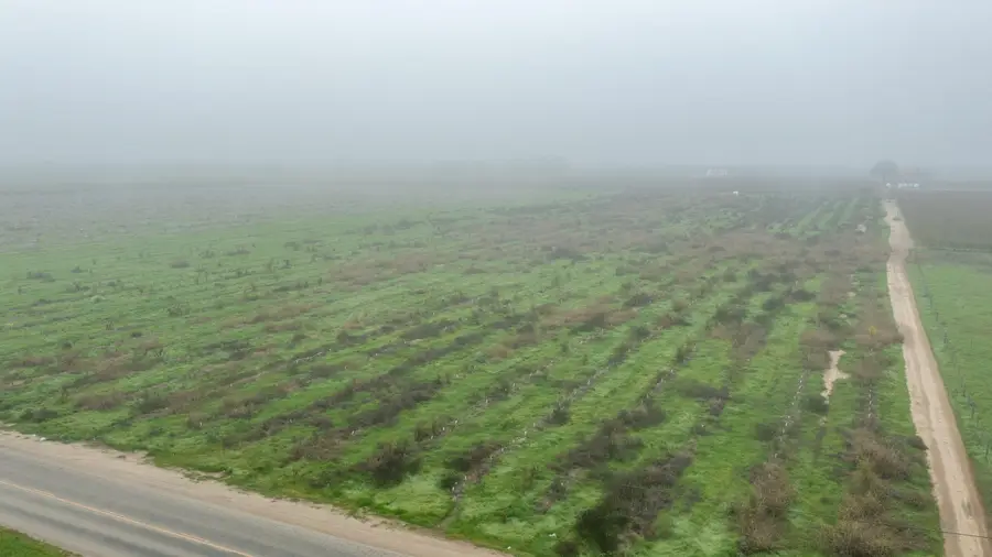 Road 208, Porterville, CA 93257 - Image #2