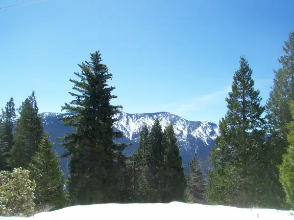 0 Redwood Drive, Springville, CA 93265