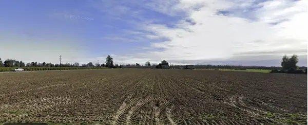 455 6th Avenue Drive, Kingsburg, CA 93631