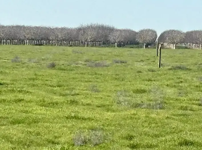 0  NW Canal, Alpaugh, CA 93201 - Image #1