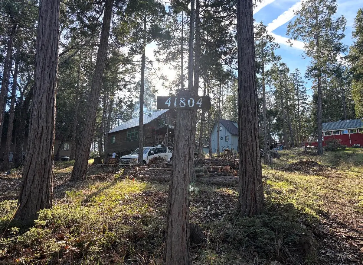 41804 Chipmunk Lane, Auberry, CA 93602 - #1