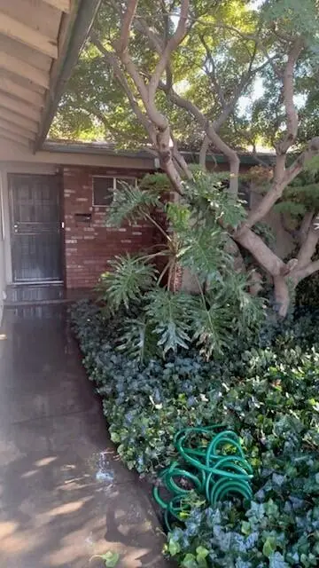 249 W Paradise Avenue, Visalia, CA 93277 - #3