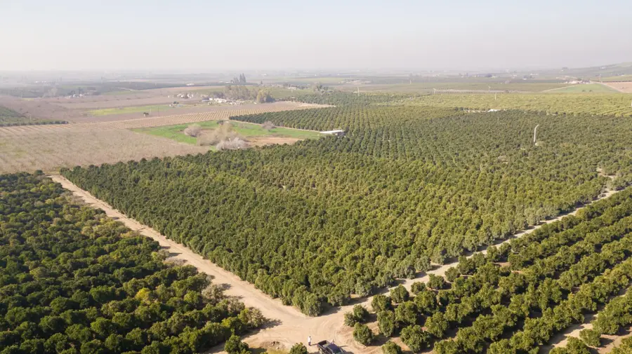 86 Avenue, Terra Bella, CA 93270 - #3