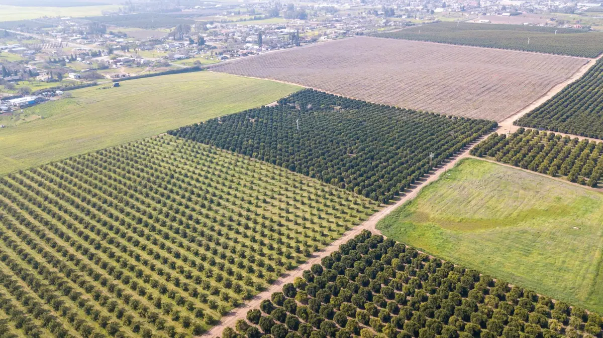 Ave 100/rd 244, Terra Bella, CA 93270 - #1