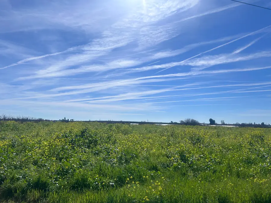 0 SE Avenue 88 Avenue Se, Terra Bella, CA 93270 - #2