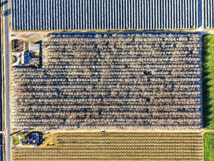 39532 Road 104, Dinuba, CA 93618 - #3