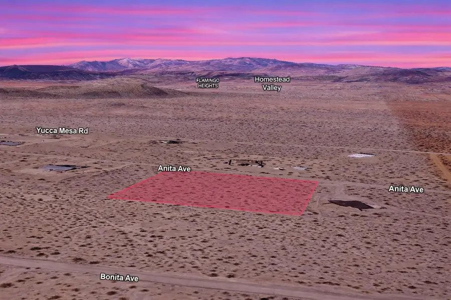 Anita Avenue, Landers, CA 92285 - #3