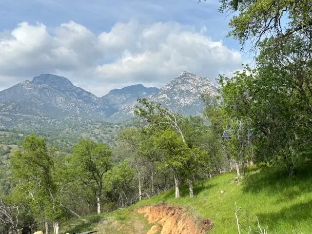 Mineral King Road, Three Rivers, CA 93271 - #2