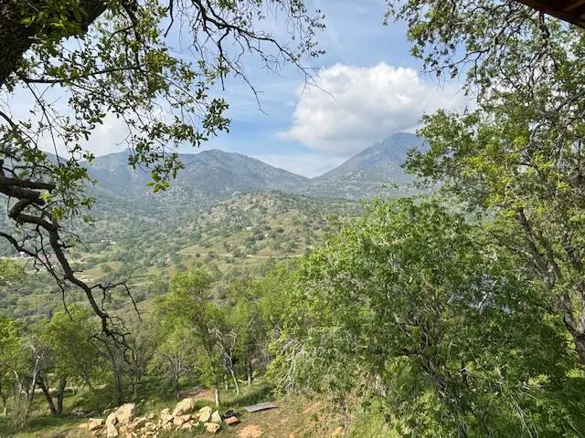 Mineral King Road, Three Rivers, CA 93271 - #3