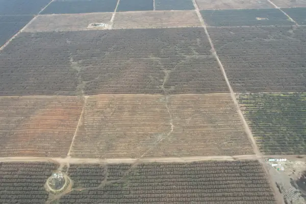 Avenue 20, Madera, CA 93638