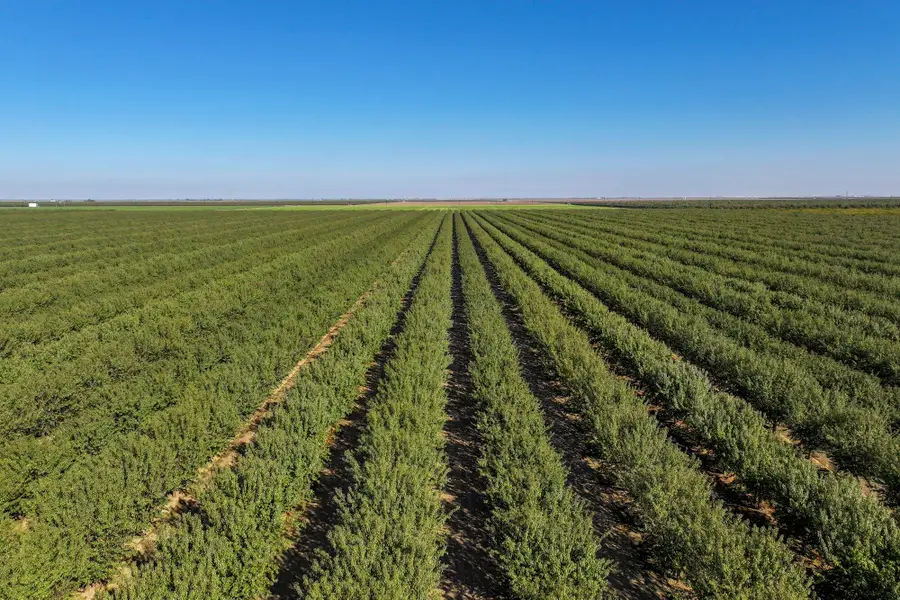 0 W Stutz Avenue, Coalinga, CA 93210 - #2