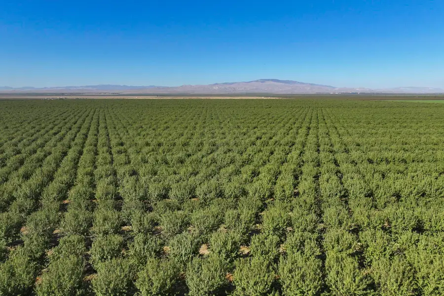 0 W Stutz Avenue, Coalinga, CA 93210 - #3