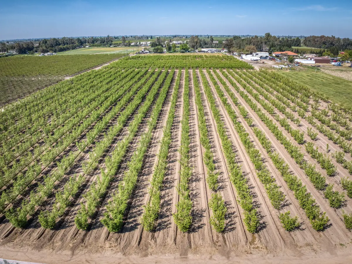 42682 Road 72, Dinuba, CA 93618 - #1