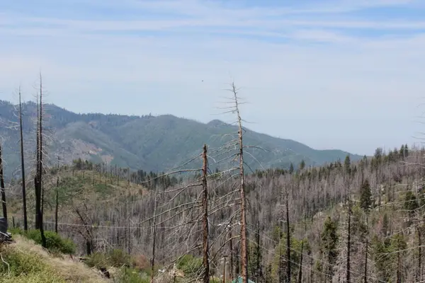 53184 Pine View Drive, Springville, CA 93265