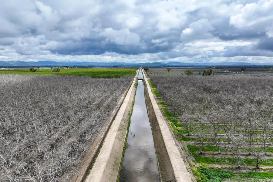 Rd 180, Strathmore, CA 93267 - #2