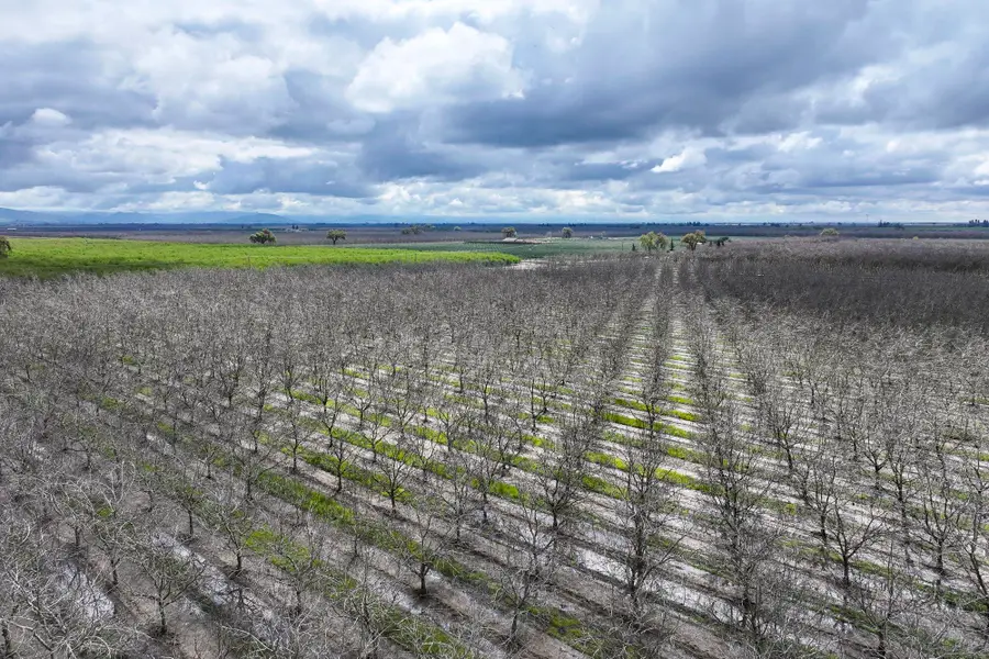 Rd 180, Strathmore, CA 93267 - #3