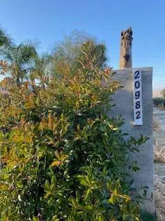 20982 Redwood Avenue, Lindsay, CA 93247 - #1