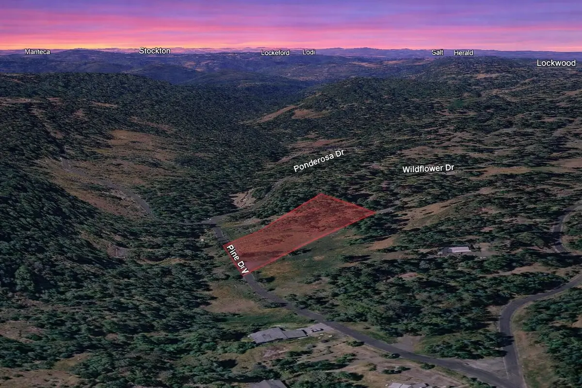 25700 Wildflower Drive, Pioneer, CA 95666 - #1