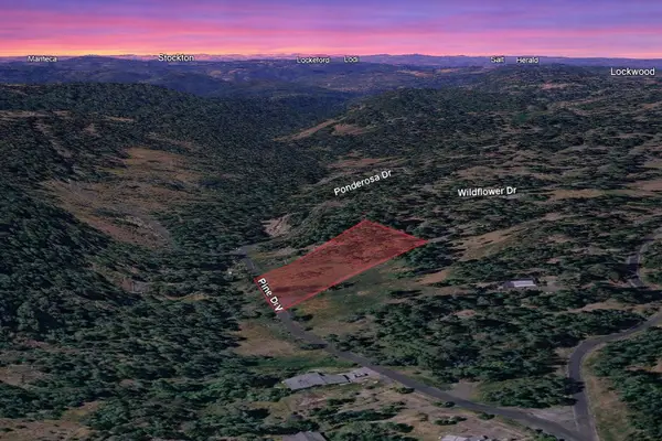 25700 Wildflower Drive, Pioneer, CA 95666