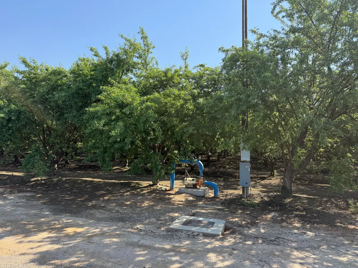 15500 Rd 200, Porterville, CA 93257 - #1