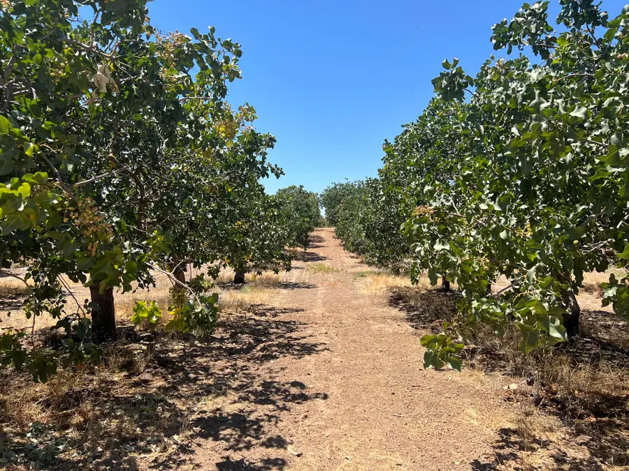 Road 27, Madera, CA 93638 - #2