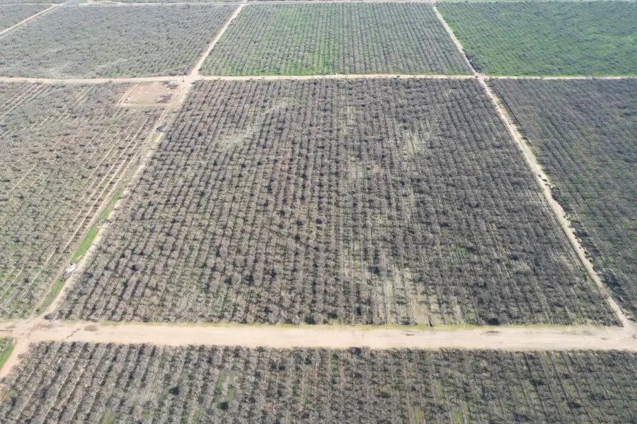 Road 27, Madera, CA 93638 - #3