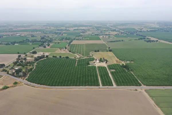 Grangeville Boulevard, Lemoore, CA 93245