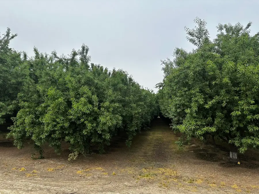 Grangeville Boulevard, Lemoore, CA 93245 - #3