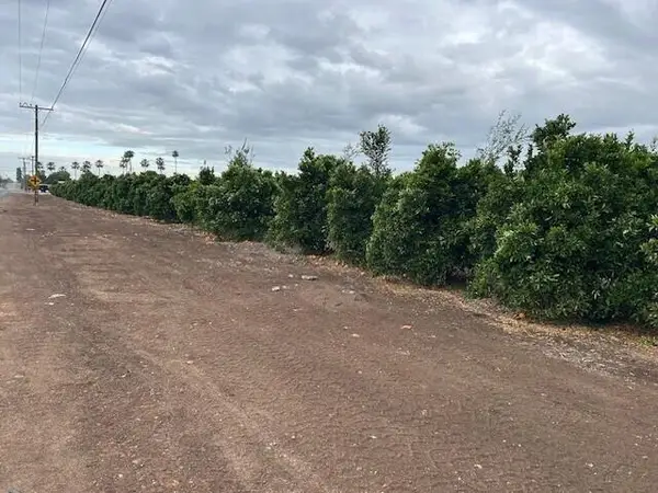 Ave 88 And Rd 264, Terra Bella, CA 93270