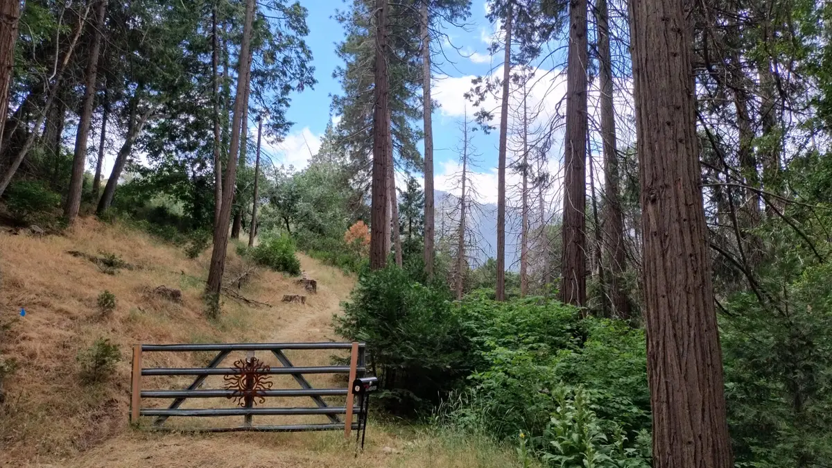 00 Mariposa Drive, Pierpoint, CA 93265 - #1