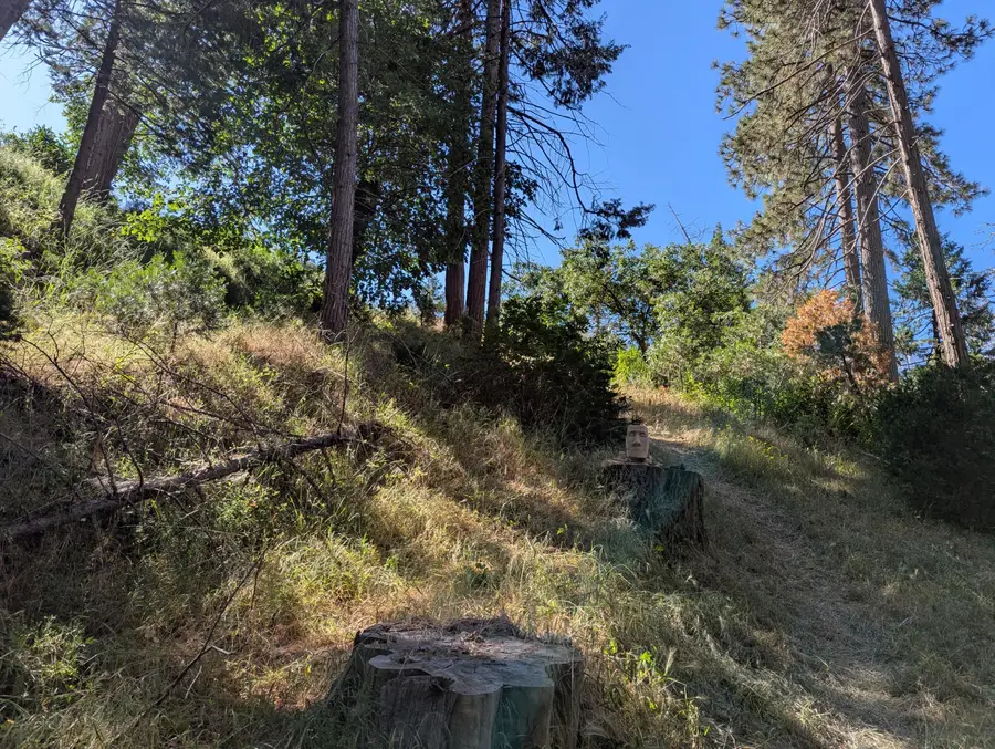 00 Mariposa Drive, Pierpoint, CA 93265 - #2