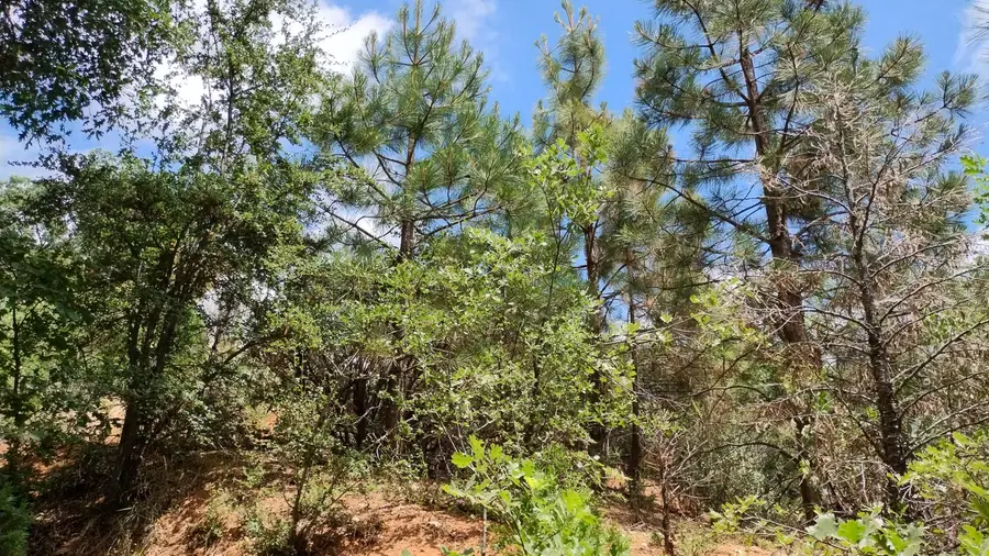 00 Mariposa Drive, Pierpoint, CA 93265 - #3