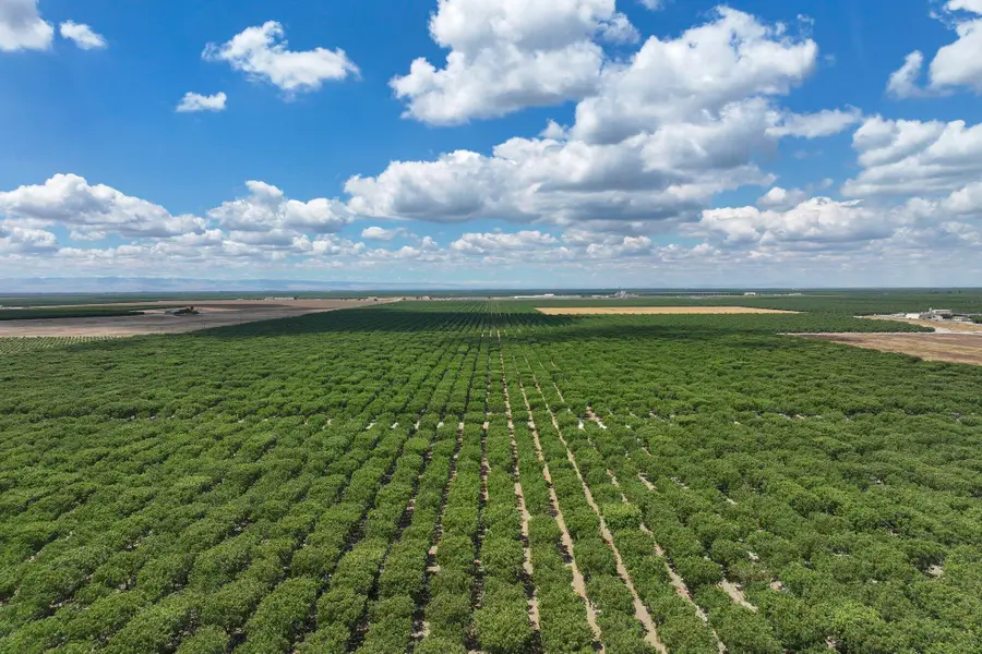 Kimberlina Road, Shafter, CA 93263 - #3