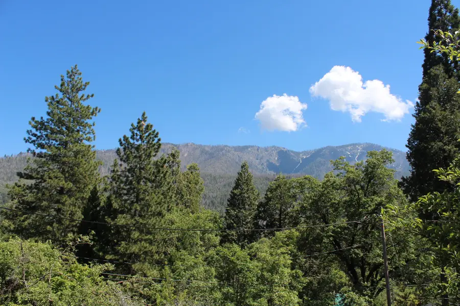 427 Sutherland, Springville, CA 93265 - #3