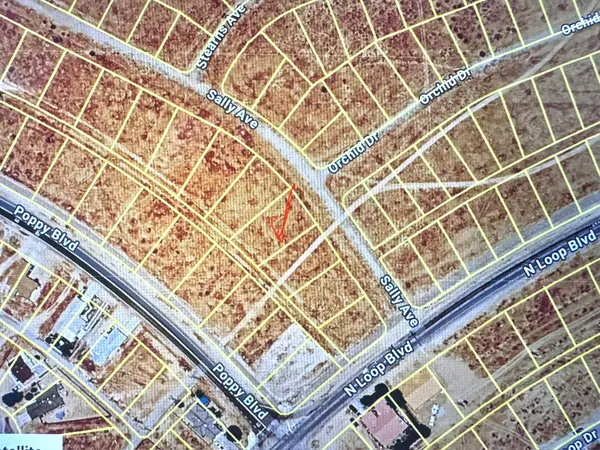 Sally Avenue, California City, CA 93505