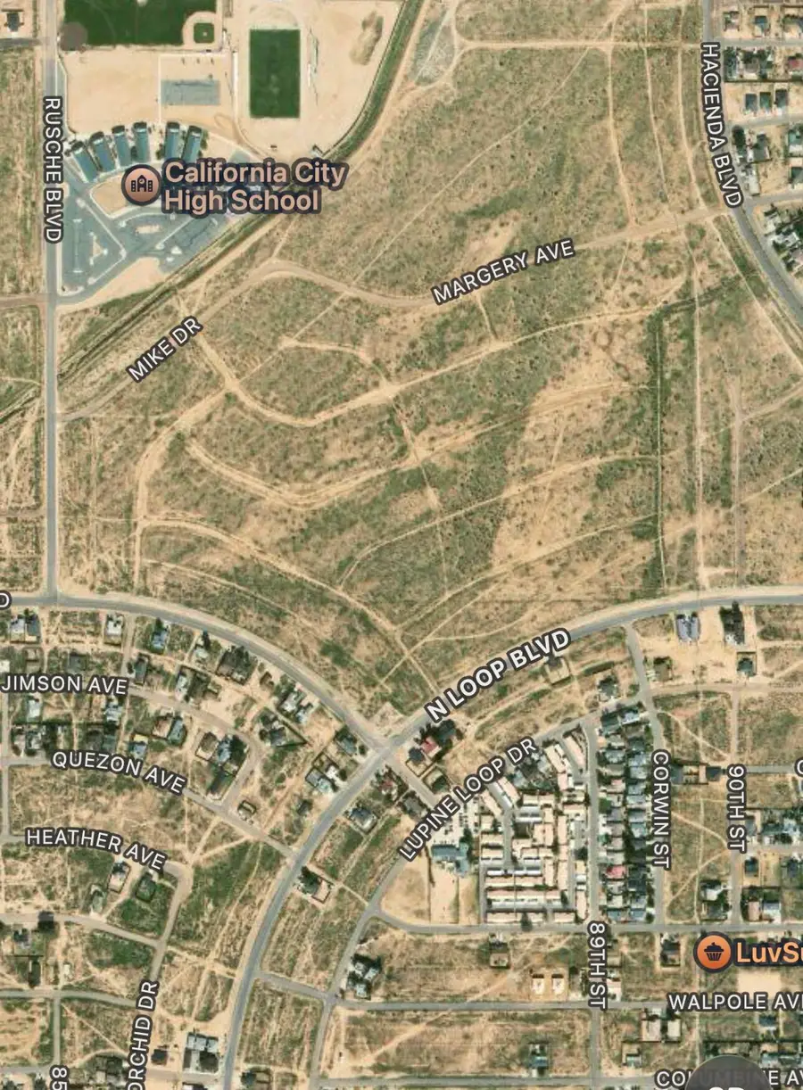 Sally Avenue, California City, CA 93505 - #2