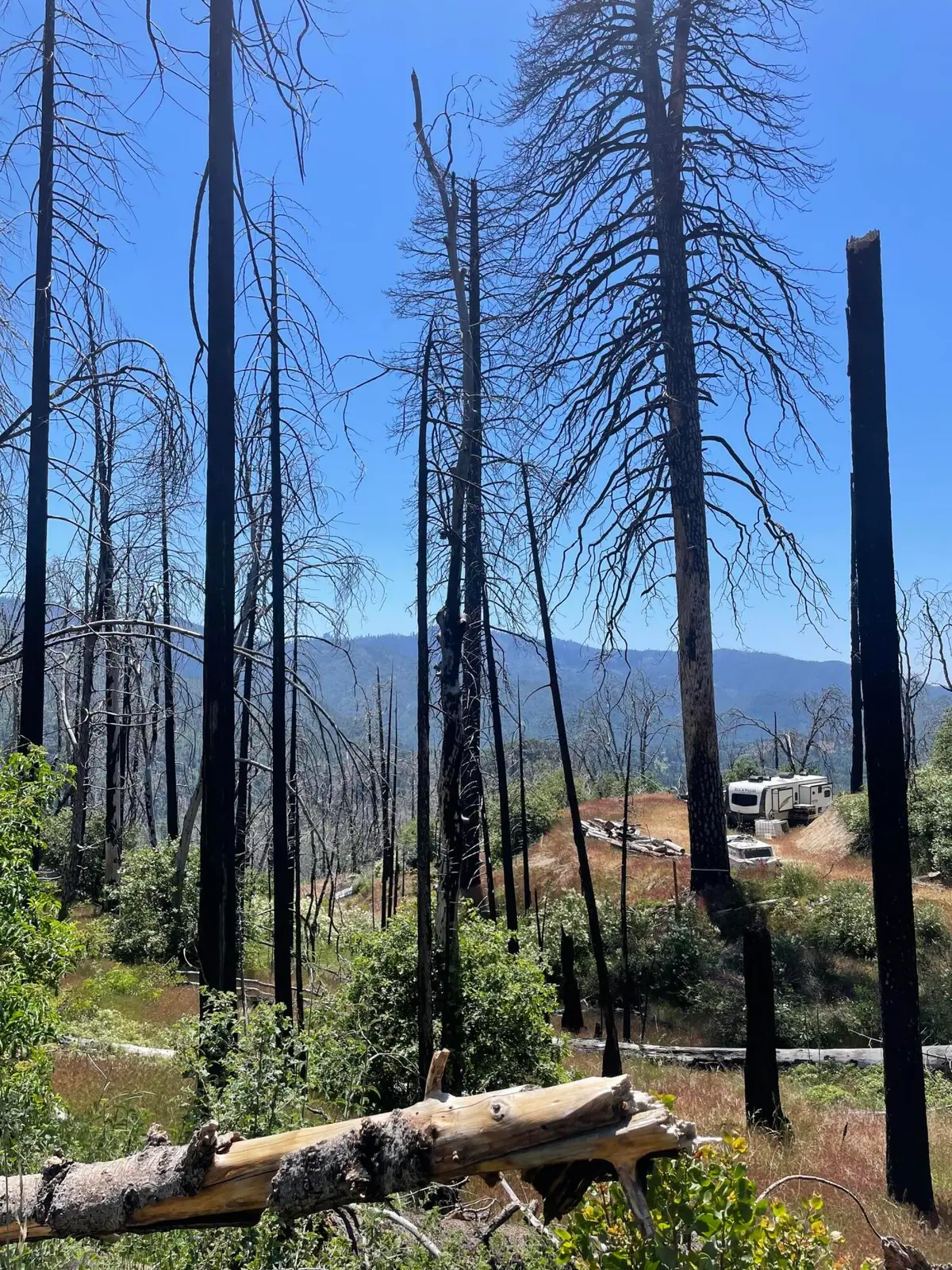 Highway 190, Cedar Slope, CA 93265 - #1