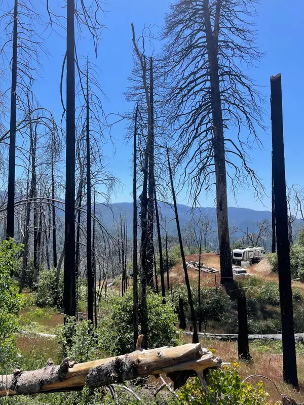 Highway 190, Cedar Slope, CA 93265