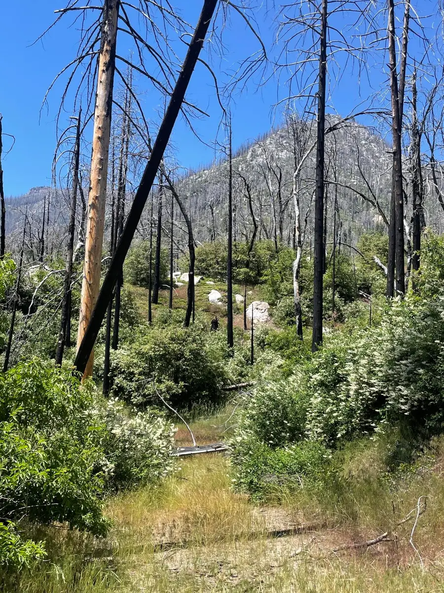 Highway 190, Cedar Slope, CA 93265 - #2