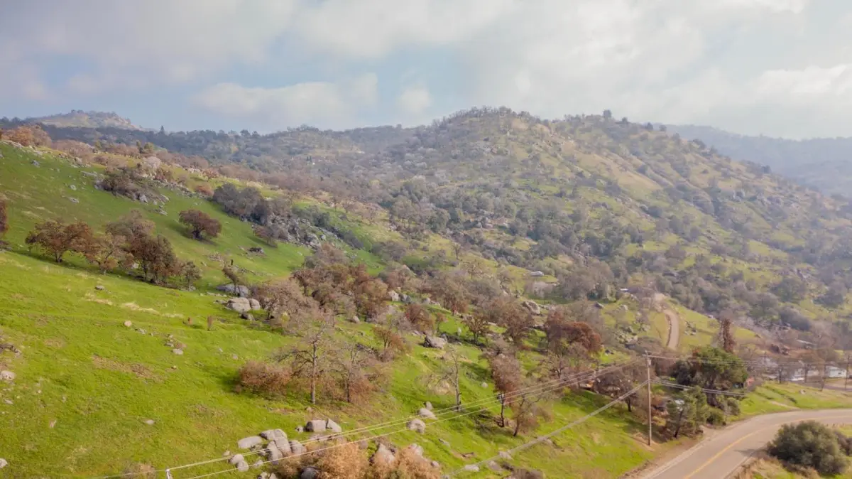 38938 Pepperweed Rd, Yokuts Valley, CA 93675 - #1