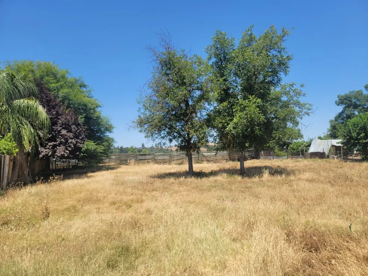 Lots 31&32 Hall Avenue, Lindsay, CA 93247 - #1