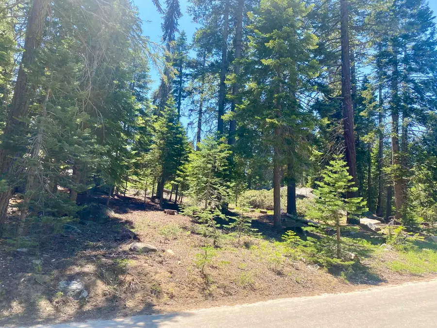 57572 Ponderosa Drive, Springville, CA 93265 - #2