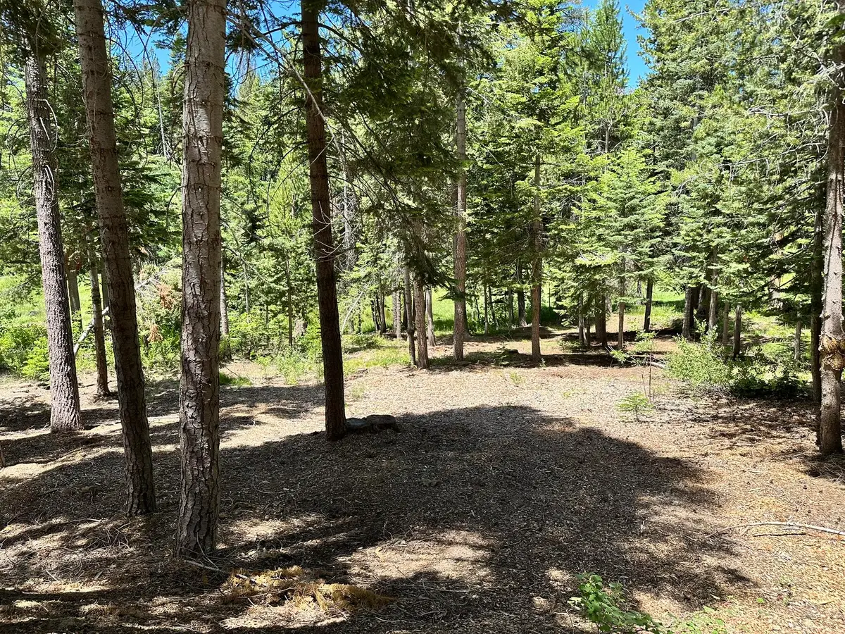 57792 Fawn Drive, Springville, CA 93265 - #1