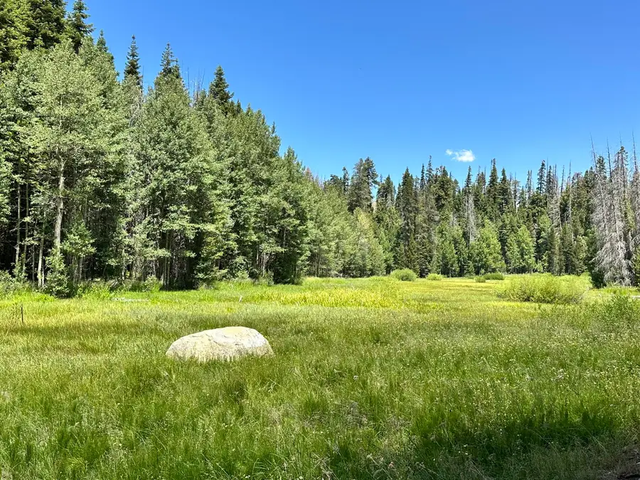 57792 Fawn Drive, Springville, CA 93265 - #2