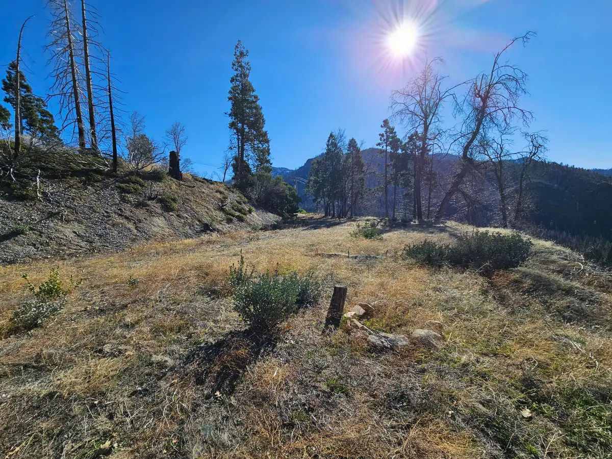 Circle Way Way, Cedar Slope, CA 93265 - #1
