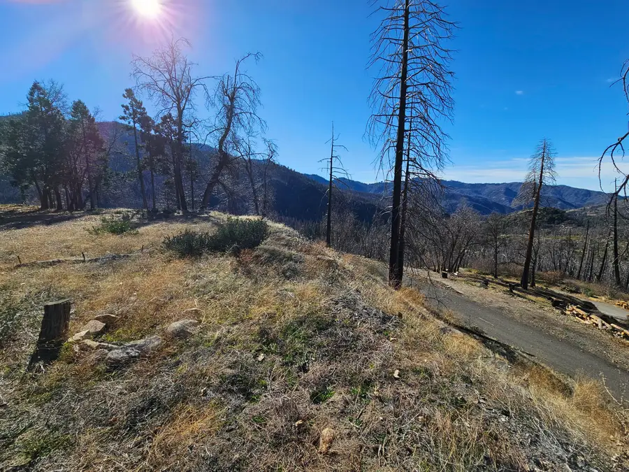 Circle Way Way, Cedar Slope, CA 93265 - #2