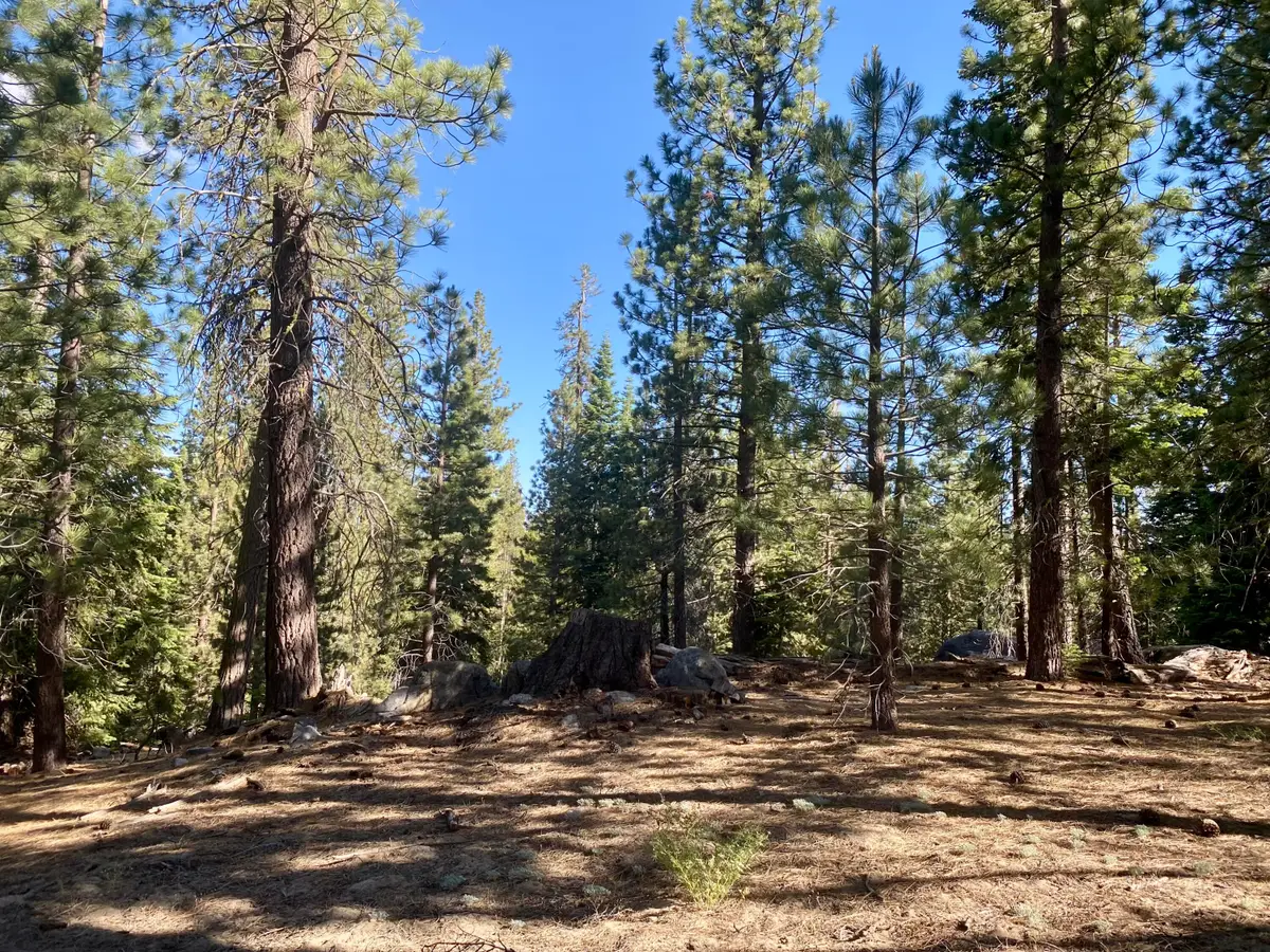 57600 Crest Drive, Springville, CA 93265 - #1