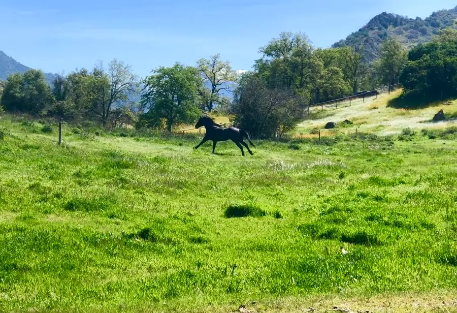 0 Old Three Rivers Road, Three Rivers, CA 93271 - #3