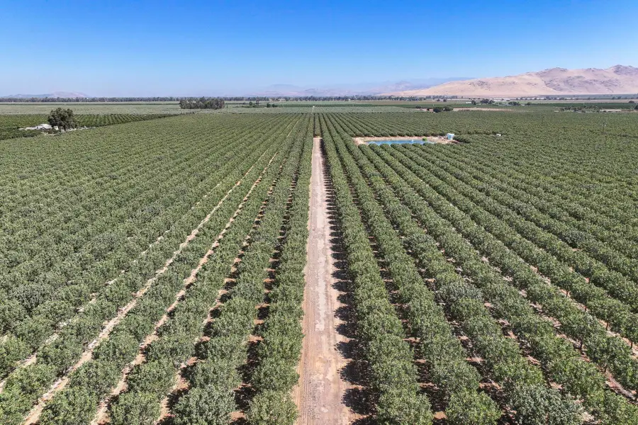14464 Ave 360, Visalia, CA 93292 - #2